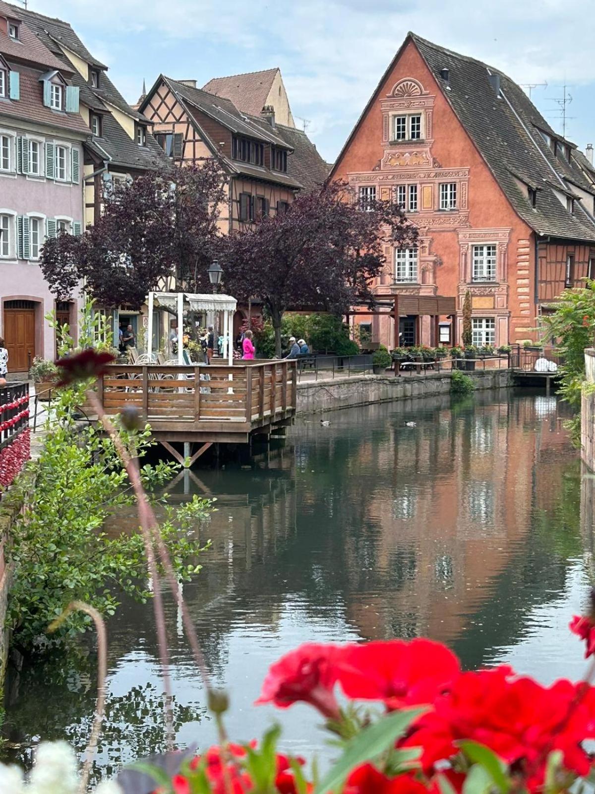 Les Hortensias Fortschwihr Zewnętrze zdjęcie