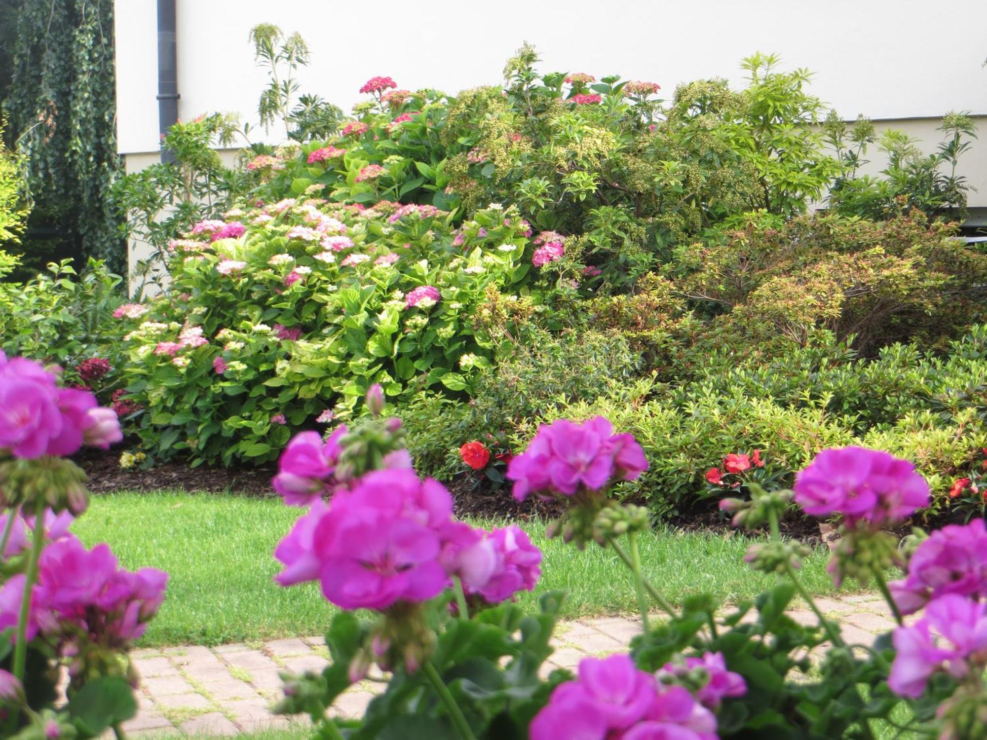 Les Hortensias Fortschwihr Zewnętrze zdjęcie